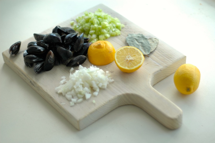 marrojo19_belgian_mussels_2