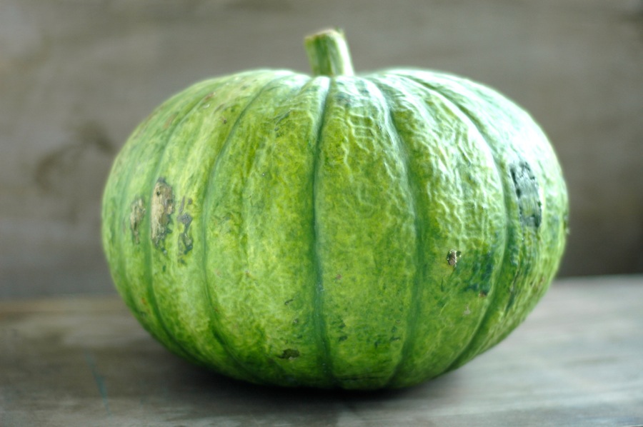 marrojo19_pumpkinsoup4