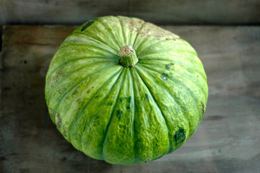 marrojo19_pumpkinsoup2