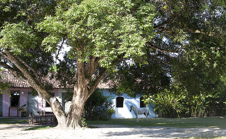 marrojo19_hotel-love-uxua-casa-brazil.jpg