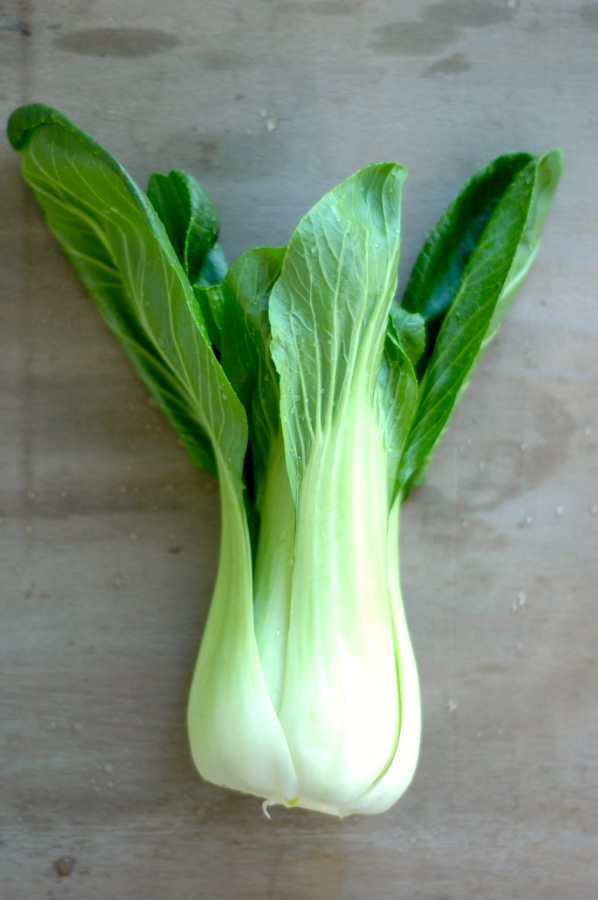 mar rojo 19 pak choi teriyaki